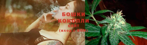 ПСИЛОЦИБИНОВЫЕ ГРИБЫ Алзамай