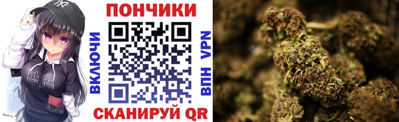 Шишки марихуана марихуана  Бронницы 